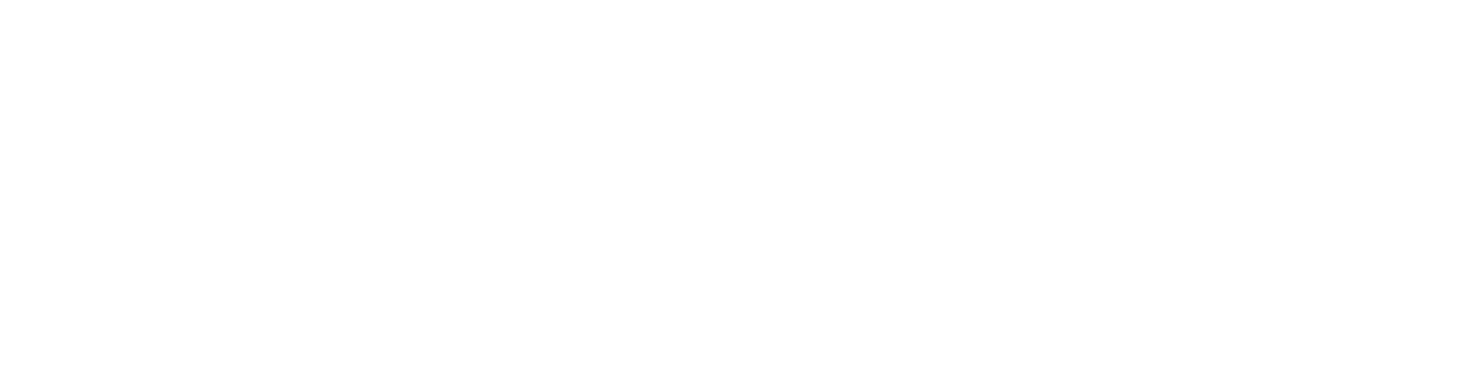 Anksys