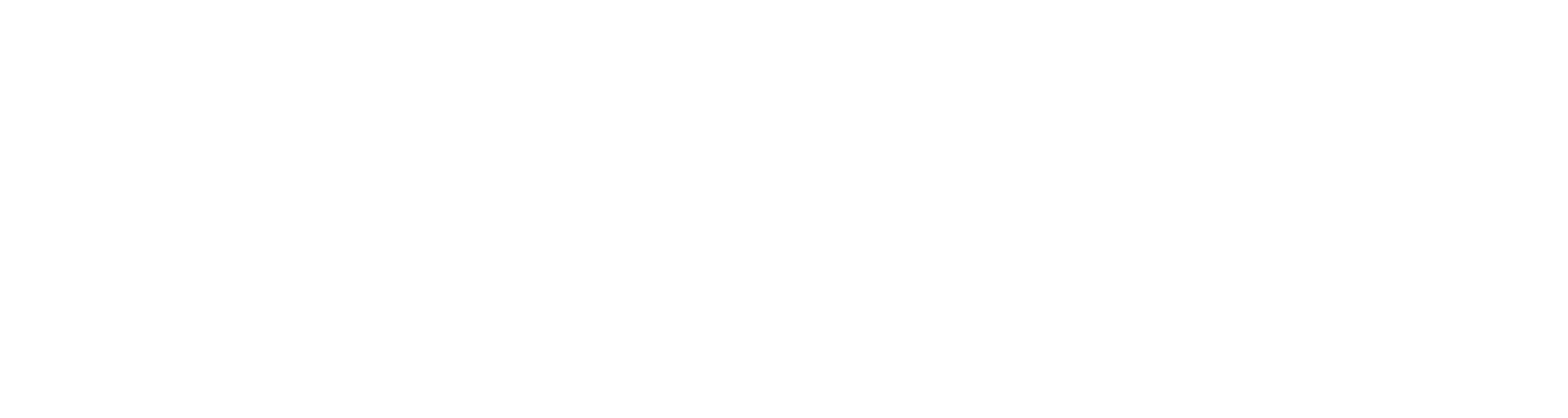 Anksys
